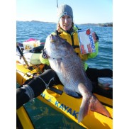 Chomp - Aileen Michael